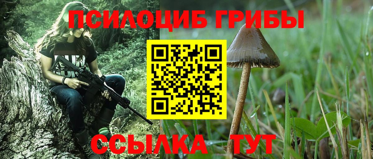 Новоуральск  Псилоцибиновые грибы Psilocybine cubensis  Вход с VPN 